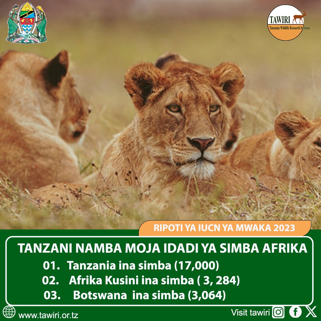 TANZANIA YAONGOZA KWA IDADI KUBWA YA SIMBA, CHUI NA NYATI BARANI AFRIKA