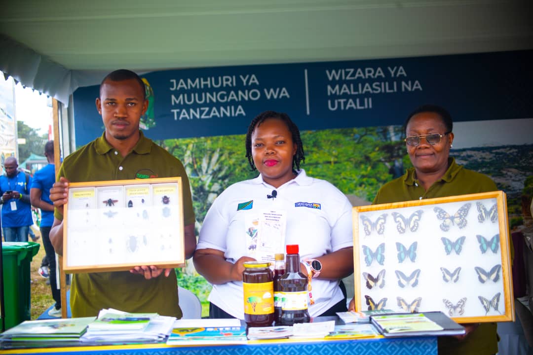 UFUGAJI BORA WA NYUKI KWAUTUNZAJI WA MAZINGIRA, UTATUZIWA MIGOGORO NA KUONGEZAKIPATO