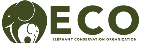 ECO