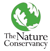 nature-removebg-preview